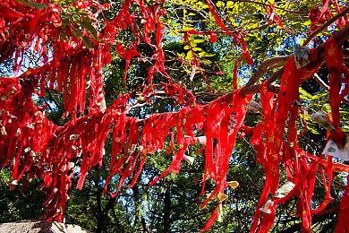 TAITO轨道射击街机复兴《野狼行动回归：首次任务》公布